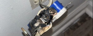 Burned up outlet found to be the cause of an entire wall of outlets not working